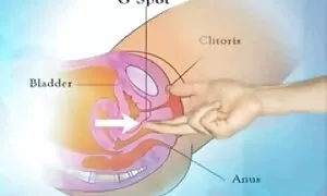 Vesti una porno tube vecchie ragazza nel forte Carroll